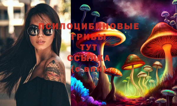 mix Алексин