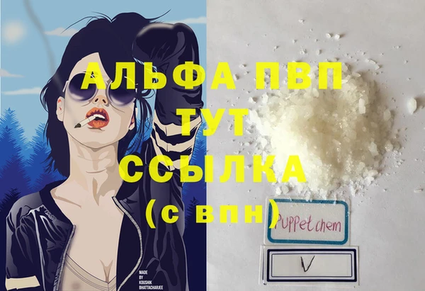 PSILOCYBIN Алексеевка