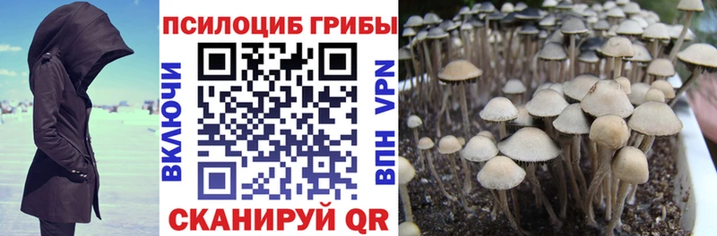 Галлюциногенные грибы Magic Shrooms Сосенский